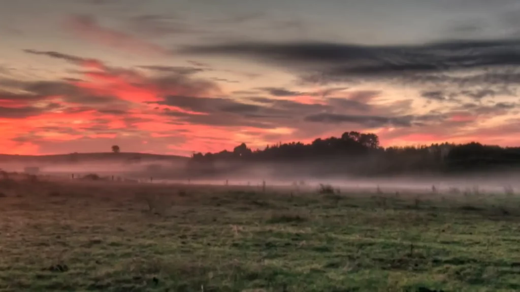 Kumeu Farm Sunrise pink sky and fog